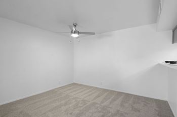 Ceiling fan